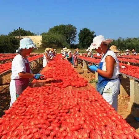 Claudia Vacanze, - Salento- Climatizzato