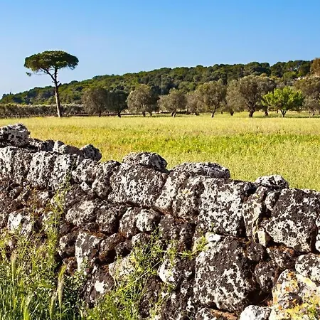 Claudia Vacanze, - Salento- Climatizzato Appartamento